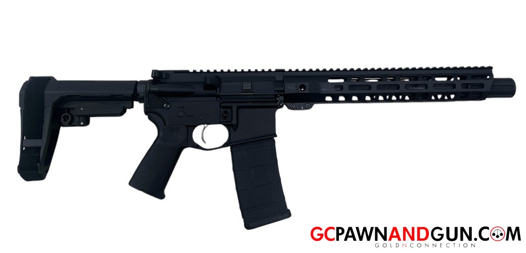 Palmetto State Armory - PA-15