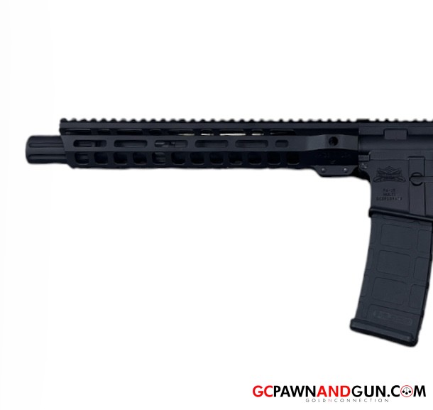 Palmetto State Armory - PA-15