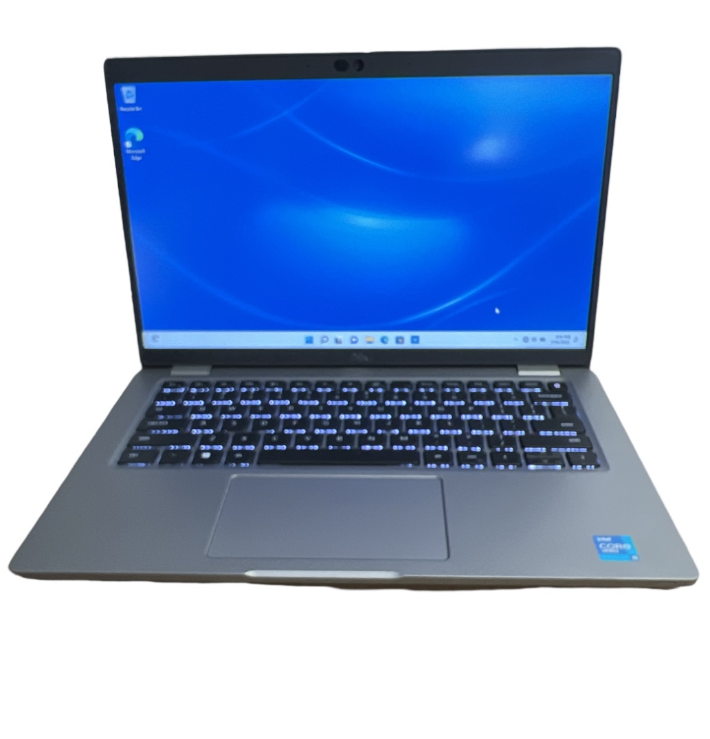 Dell Laptop P137G