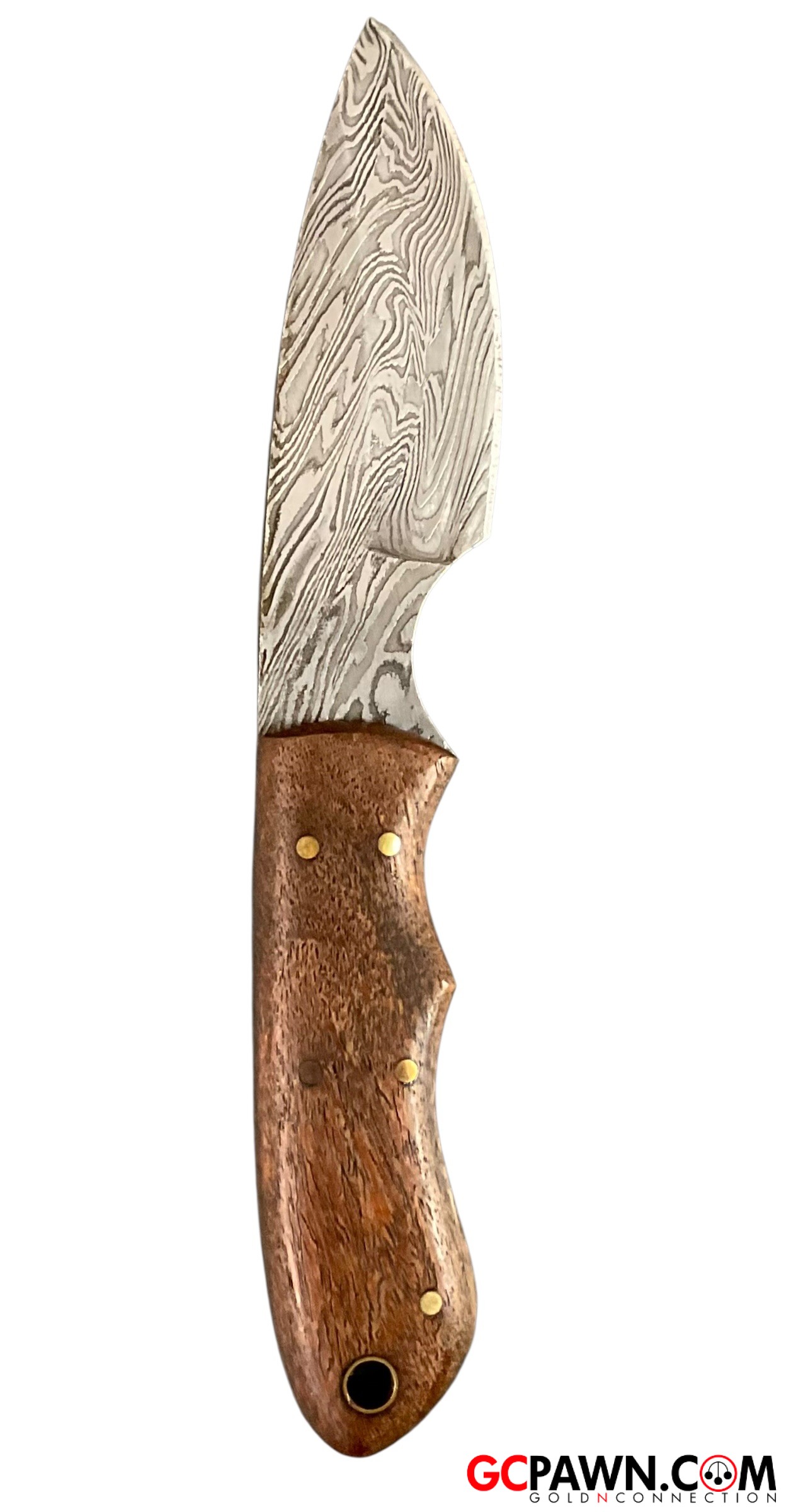 BucknBear - 15252