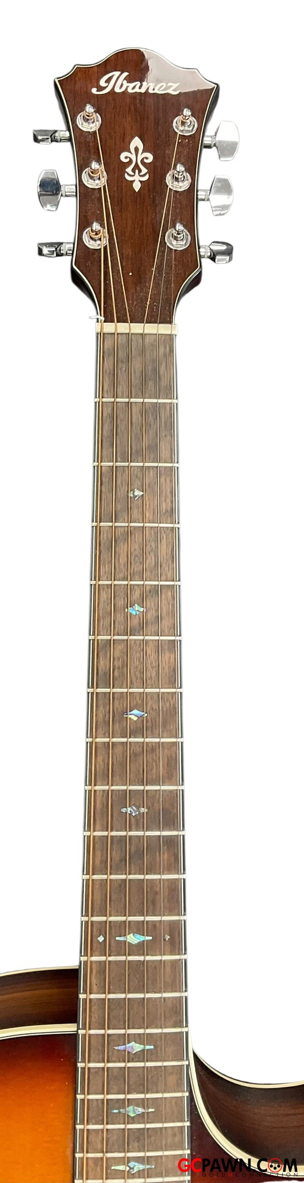 Ibanez - AE160-VMS