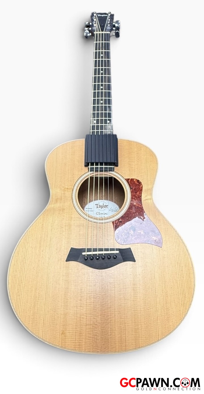 Taylor - Gsmini