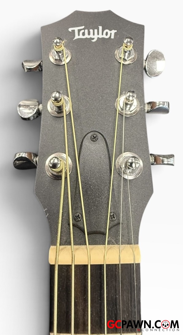 Taylor - Gsmini