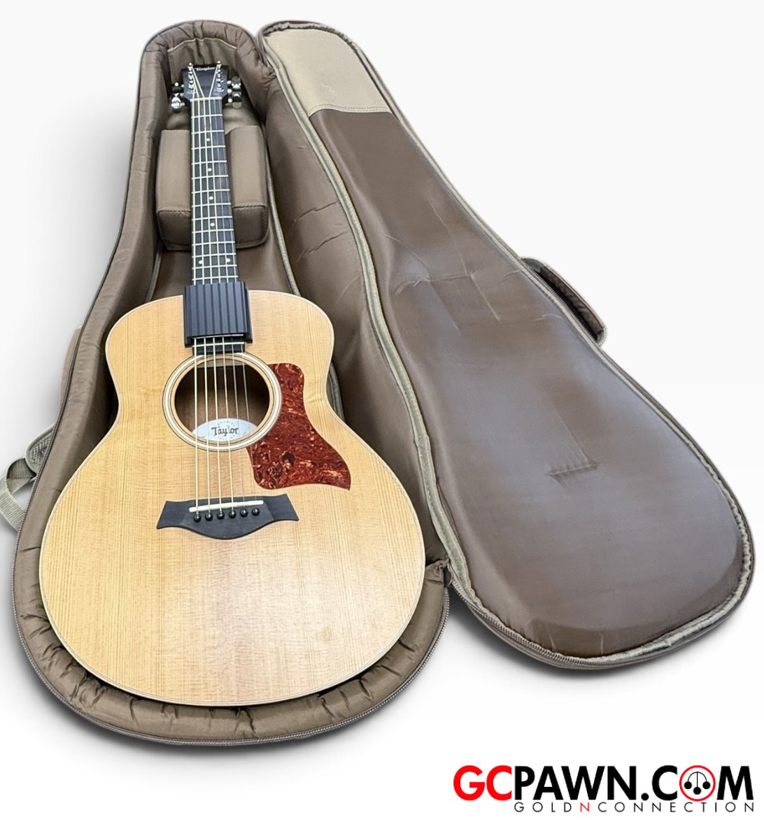 Taylor - Gsmini