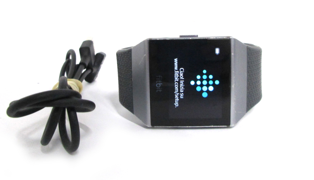 fitbit model fb503