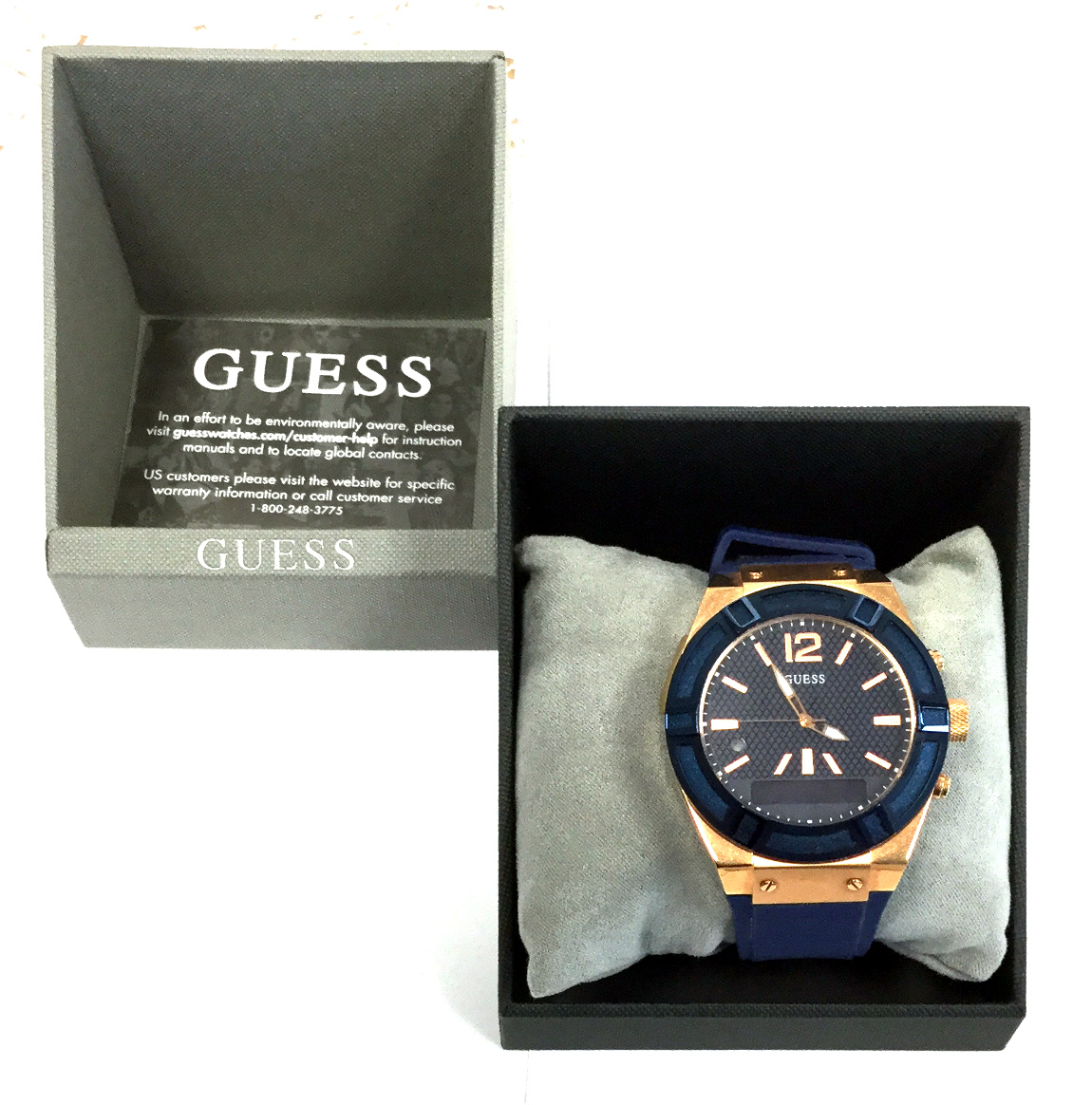 guess c1001g1