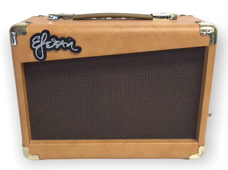 Esteban Amp Guitar ES15A