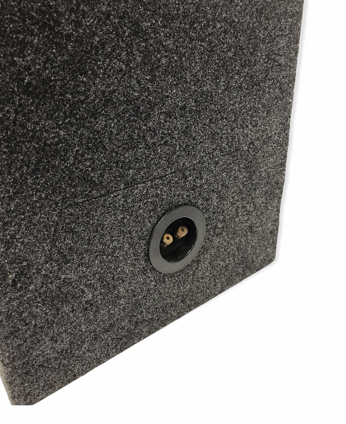 Audio Legion Subwoofer 10" subwoofers